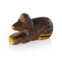 Tigerauge-Hund