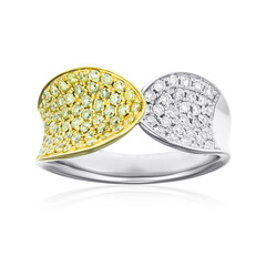 SI2 Brillant-Goldring (CIRARI)