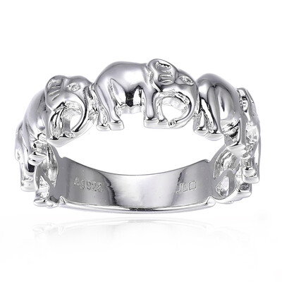 Silberring