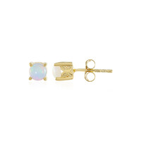 Welo-Opal-Silberohrringe