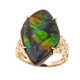 Ammolith-Goldring (de Melo)