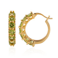 Burmesischer Peridot-Silberohrringe