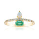 Edelstein-Goldring (CIRARI)