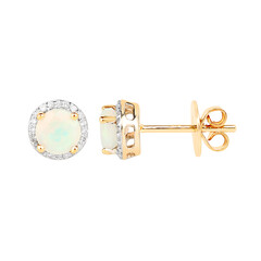 Welo-Opal-Goldohrringe