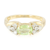 Paraiba-Turmalin-Goldring