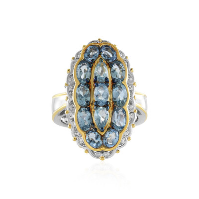 Tansania-Aquamarin-Silberring (Gems en Vogue)