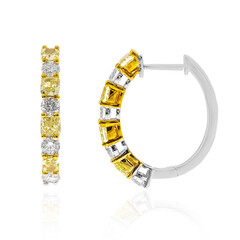 Gelber SI2 Diamant-Goldohrringe (CIRARI)