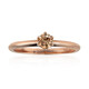 VS1 Argyle-Rose de France-Brillant-Goldring (Annette)