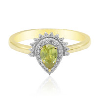 Sphen-Goldring