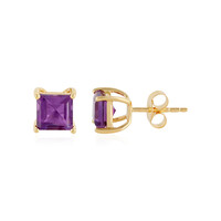 Sambia-Amethyst-Silberohrringe