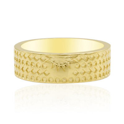 Silberring