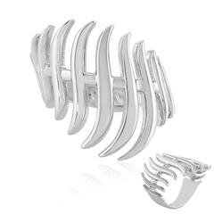 Silberring