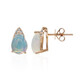 AAA-Welo-Opal-Goldohrringe