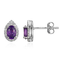 Sambia-Amethyst-Silberohrringe