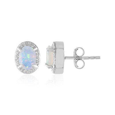 Welo-Opal-Silberohrringe