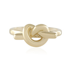Silberring