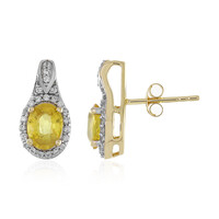 Gelber Saphir-Goldohrringe (Adela Gold)