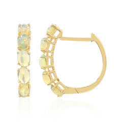 AAA-Welo-Opal-Goldohrringe
