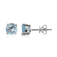 AAA-Brasilianischer Aquamarin-Goldohrringe (CIRARI)