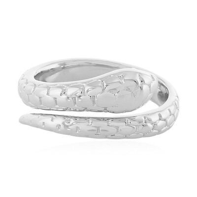 Silberring