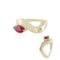 Madagaskar-Rubin-Goldring (de Melo)
