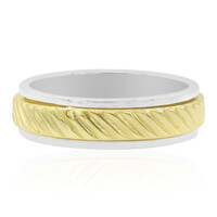 Silberring (Nan Collection)
