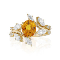 Oranger Ban Ka Cha-Saphir-Goldring