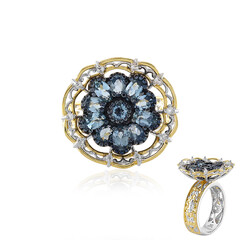 Tansania-Aquamarin-Silberring (Gems en Vogue)