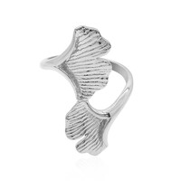 Silberring
