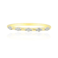 SI2 (G) Brillant-Goldring
