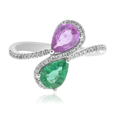 Edelstein-Goldring (CIRARI)