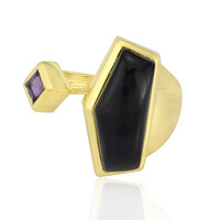 Schwarzer Onyx-Silberring