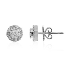 SI3 (H) Brillant-Goldohrringe (Estée Collection)