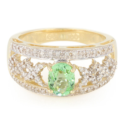 Paraiba-Turmalin-Goldring