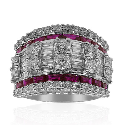 AAA-Mosambik-Rubin-Goldring (CIRARI)