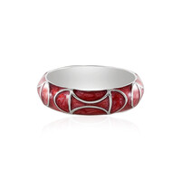 Silberring