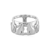 Silberring