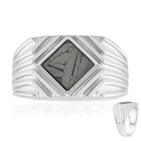 Aletai-Meteorit-Silberring