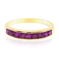AAA-Mosambik-Rubin-Goldring (CIRARI)