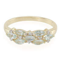 Paraiba-Turmalin-Goldring