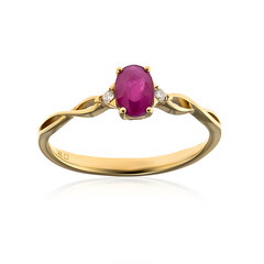 AAA-Mosambik-Rubin-Goldring (CIRARI)