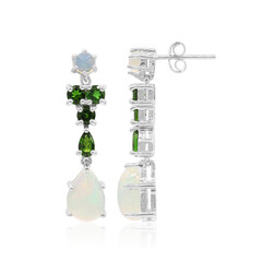 Welo-Opal-Silberohrringe