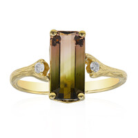 Kongo-Neon-Turmalin-Goldring (Smithsonian)