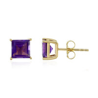 Sambia-Amethyst-Silberohrringe