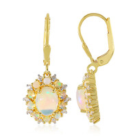 Welo-Opal-Silberohrringe