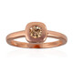 VS1 Argyle-Rose de France-Brillant-Goldring (Annette)