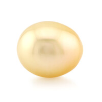 Goldene Kabira-Südseeperle (TPC)