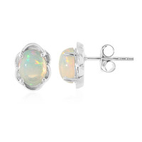 Welo-Opal-Silberohrringe