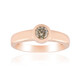VS1 Argyle-Rose de France-Brillant-Goldring (Annette)