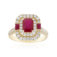 AAA-Mosambik-Rubin-Goldring (CIRARI)